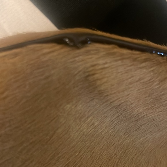 CATERINA LUCCI. EUC. - Picture 11 of 12